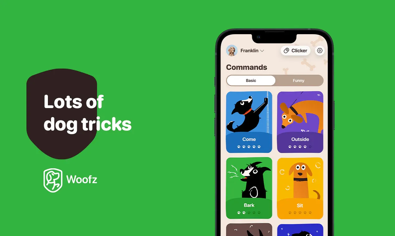 Meet Woofz: Revolutionizing Pet Tech with a Dog-Centric Approach